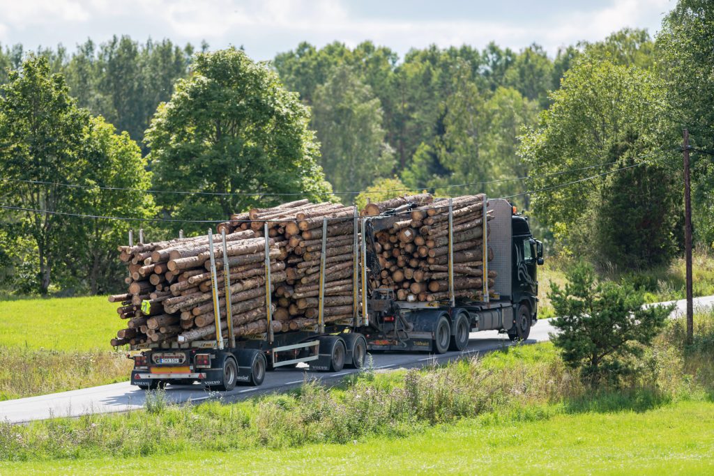 Debatt: Tillväxthinder drabbar basindustrin